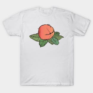 Peach on a leaf sketch T-Shirt